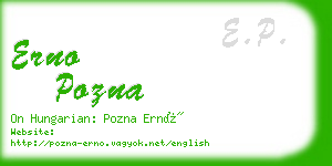 erno pozna business card